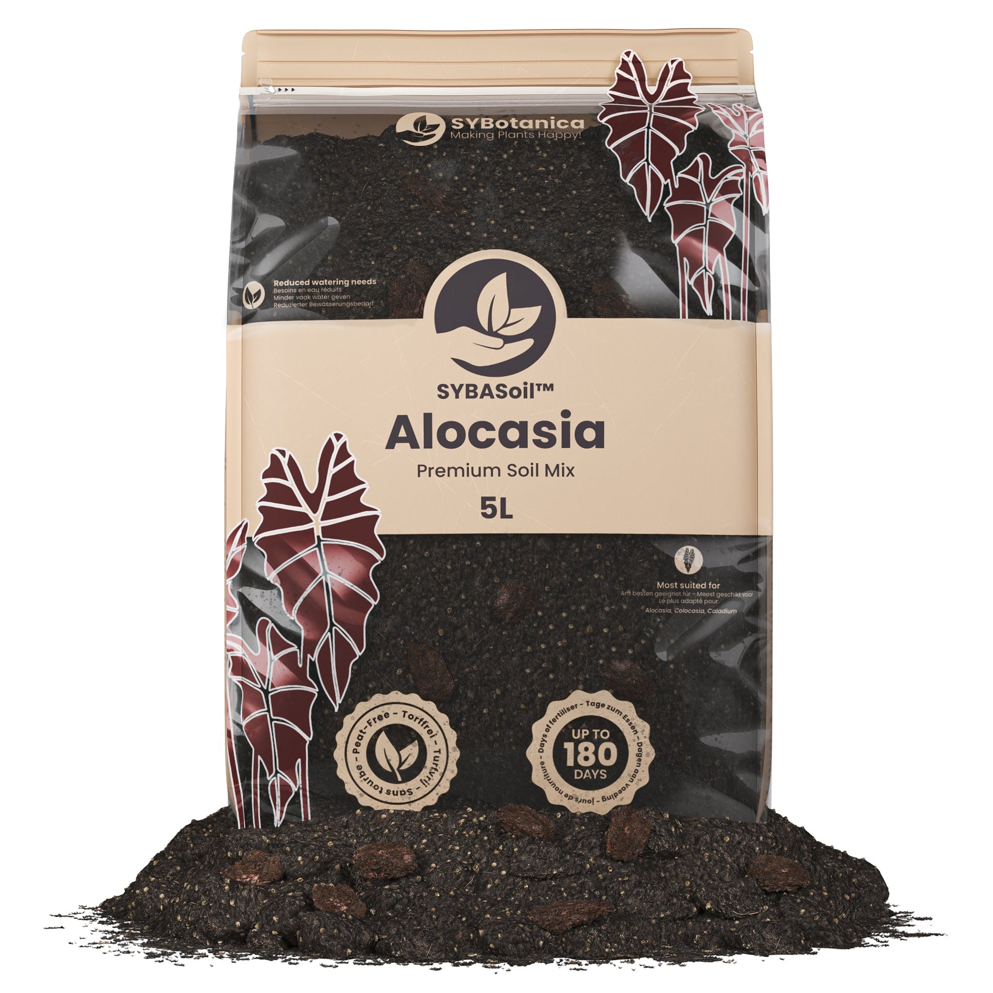 Sybotanica Alocasia Mix