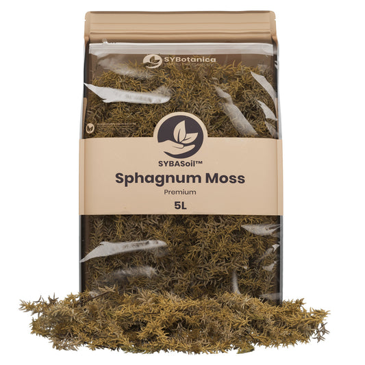 Sybotanica Sphagnum Moss